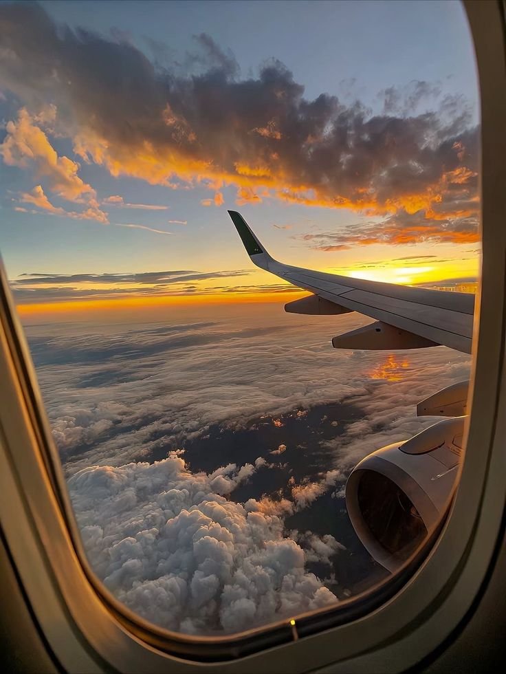 🏕  Nature & Wildlife Safaris